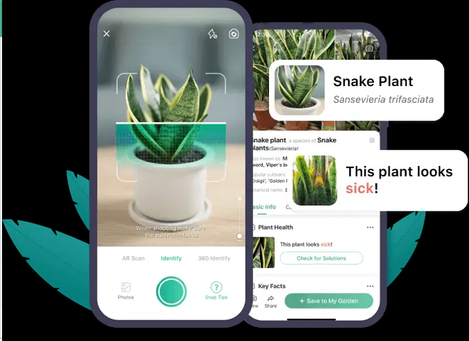Top ứng dụng AI cho iPhone miễn phí tốt nhất Picture This