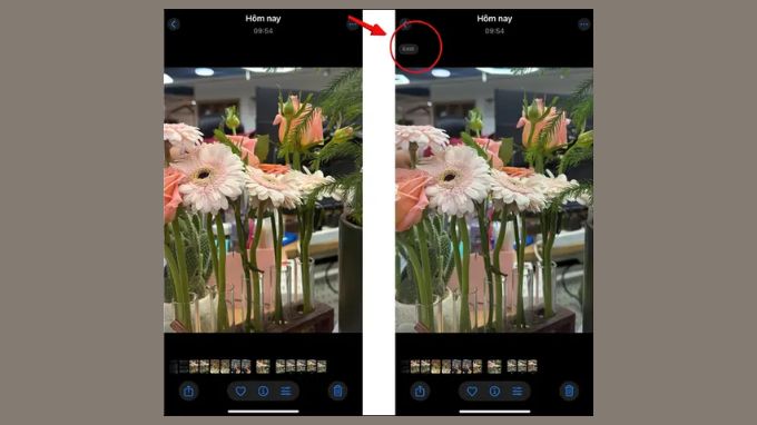 Hướng dẫn cách chụp ảnh Apple ProRAW