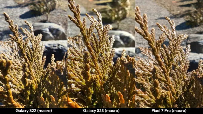 Chế độ macro trên ba siêu phẩm Galaxy S22 Ultra, S23 Ultra và Pixel 7 Pro