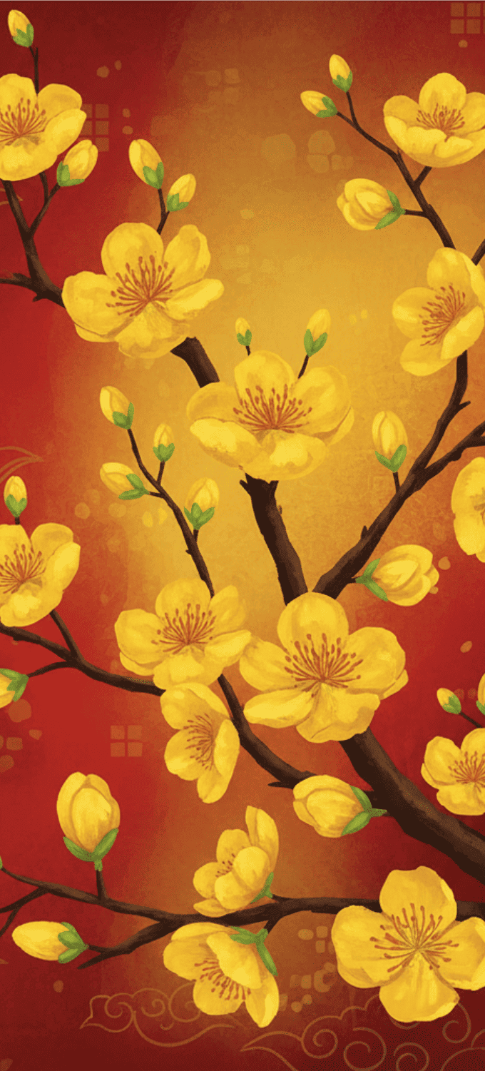 Hình nền hoa mai vẽ đồ họa phong cách truyền thống