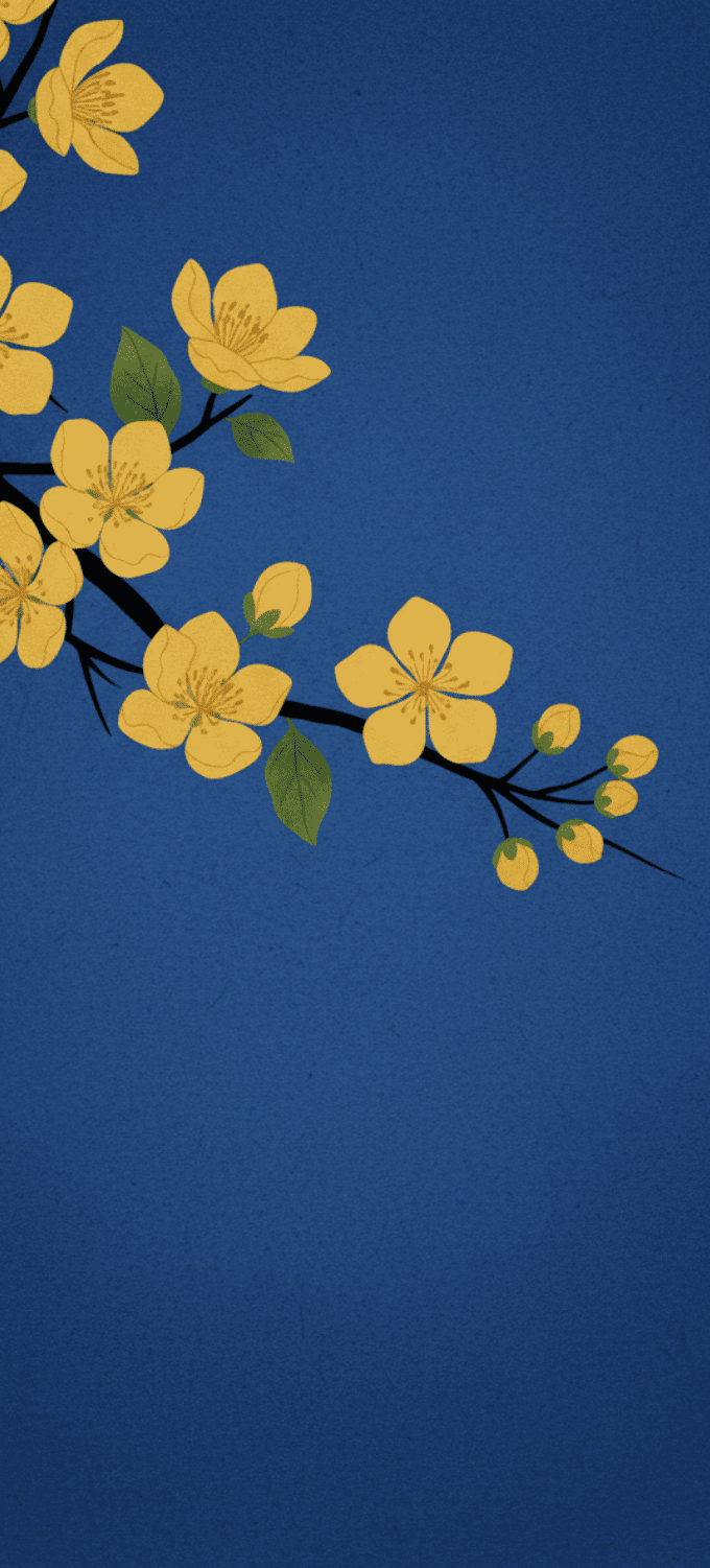 Hình nền hoa mai vẽ đồ họa phong cách truyền thống