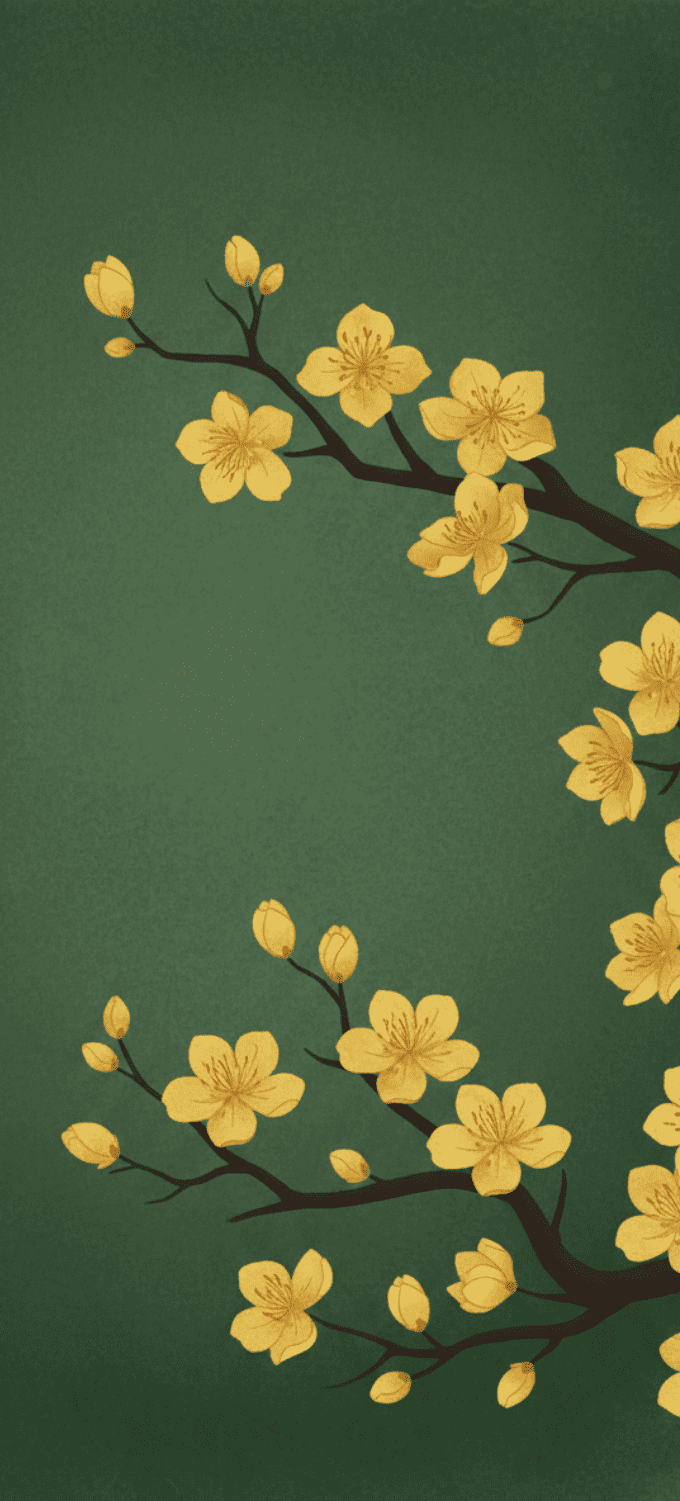 Hình nền hoa mai vẽ đồ họa phong cách truyền thống
