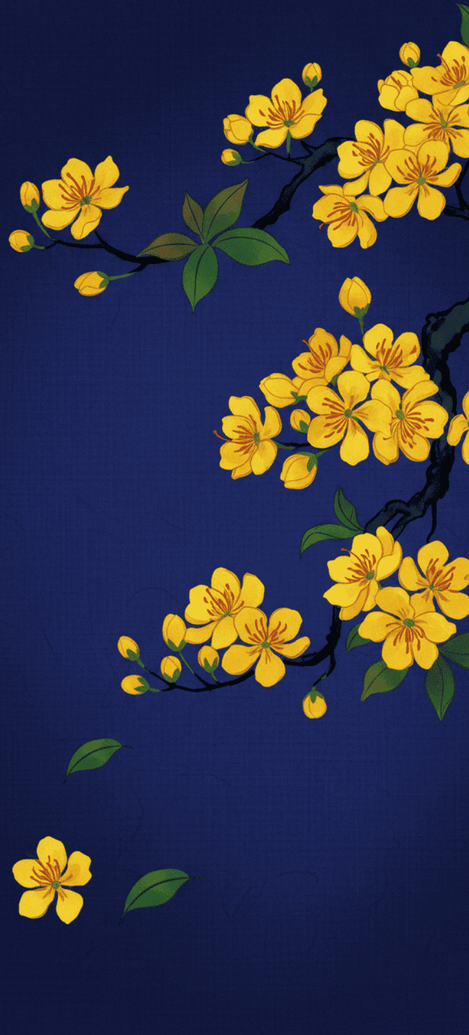 Hình nền hoa mai vẽ đồ họa phong cách truyền thống