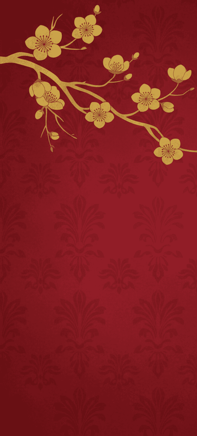 Hình nền họa tiết hoa mai nghệ thuật