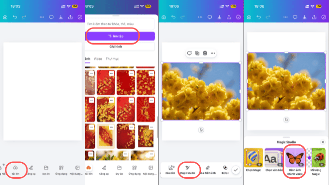 Hướng dẫn cách sử dụng Canva để chuyển ảnh thành video