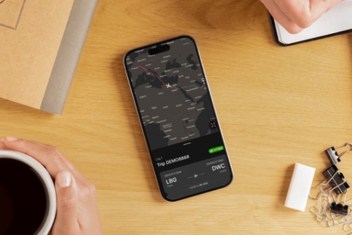5 Cách theo dõi chuyến bay trên iPhone cực nhanh không cần app