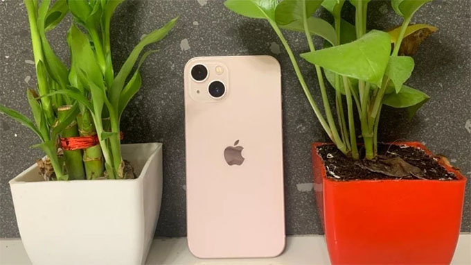 iPhone 13 chiếm 2,1%