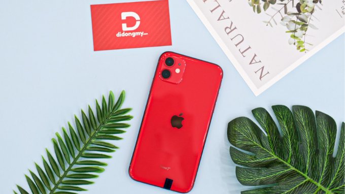 iPhone 11 chỉ còn 1 cơ hội cập nhật iOS