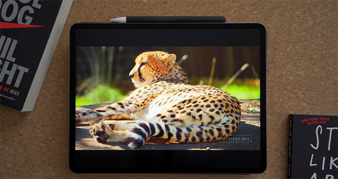 Màn hình iPad Pro 2021 M1 12.9 inch 128GB 5G là một trong những tính năng đáng chú ý