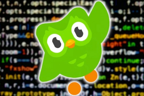 Hướng dẫn cách chuyển Duolingo sang tiếng Việt trên điện thoại nhanh chóng