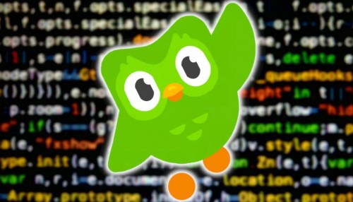 Hướng dẫn cách chuyển Duolingo sang tiếng Việt trên điện thoại nhanh chóng