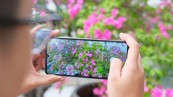 Camera sống động