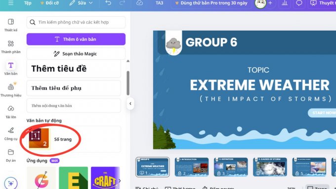 Tại sao nên đánh số trang trong Canva?