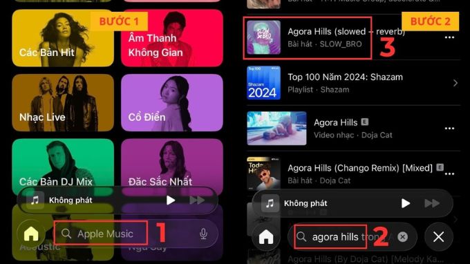 tải nhạc từ Apple Music