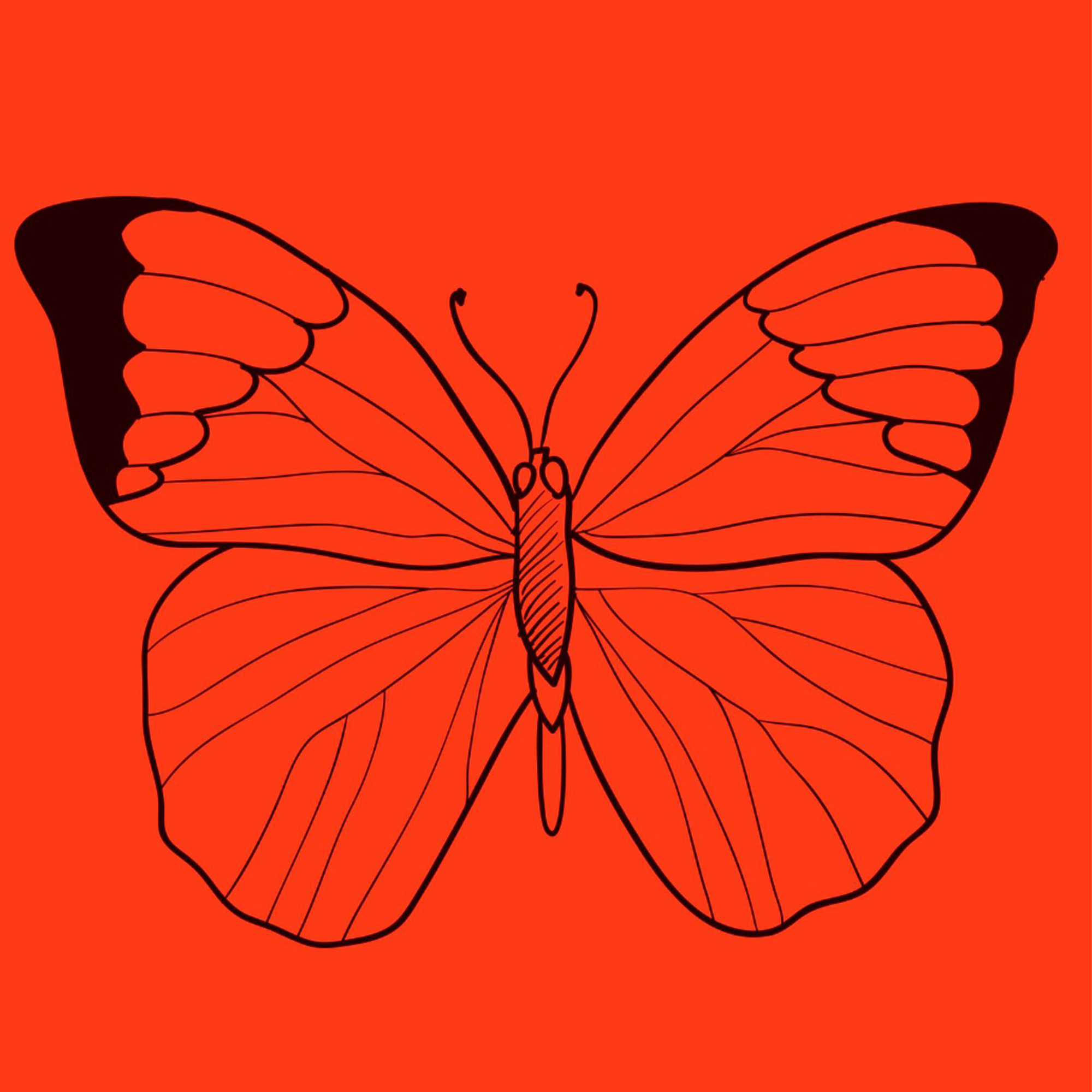 hình nền Samsung Galaxy Z Fold 6