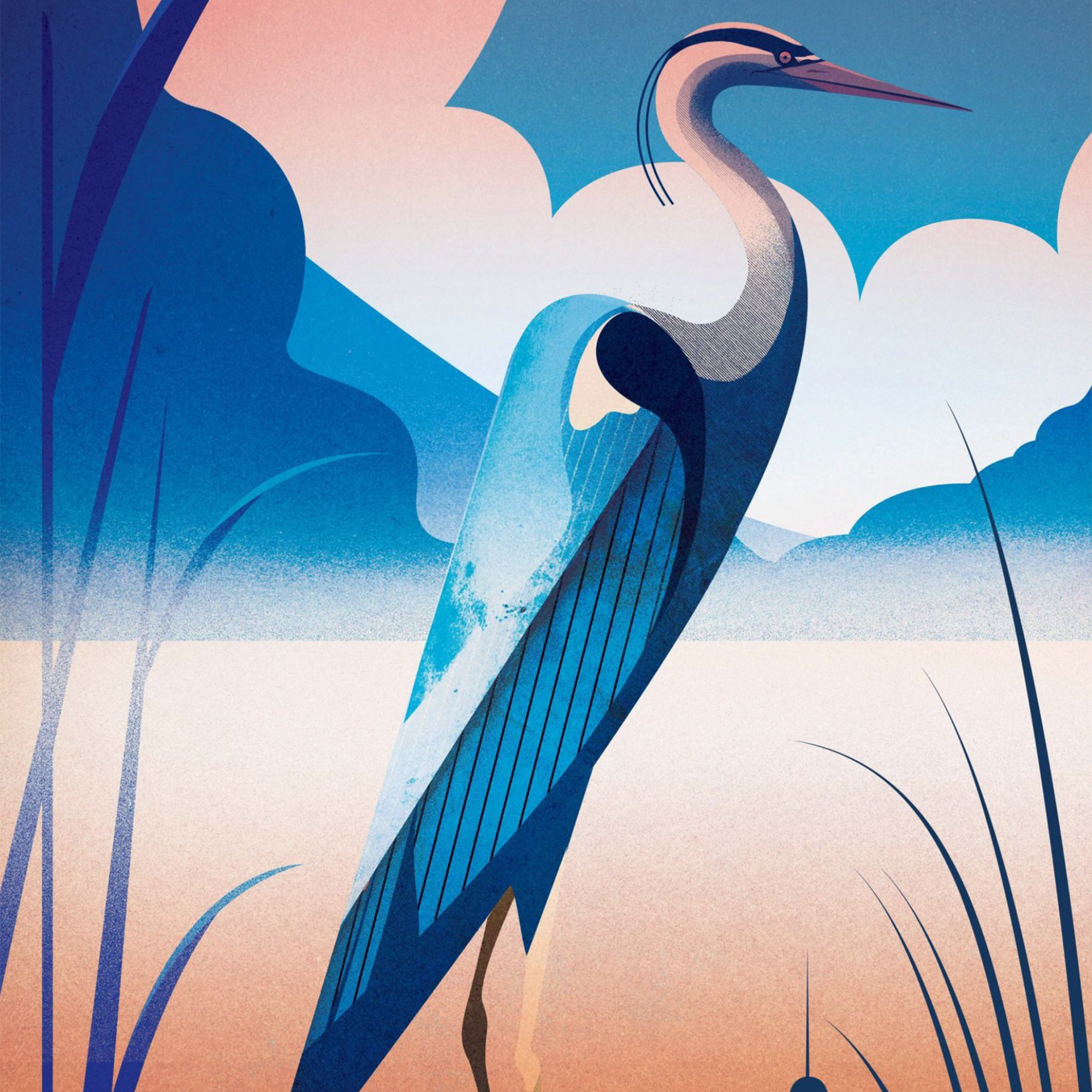 hình nền Samsung Galaxy Z Fold 6