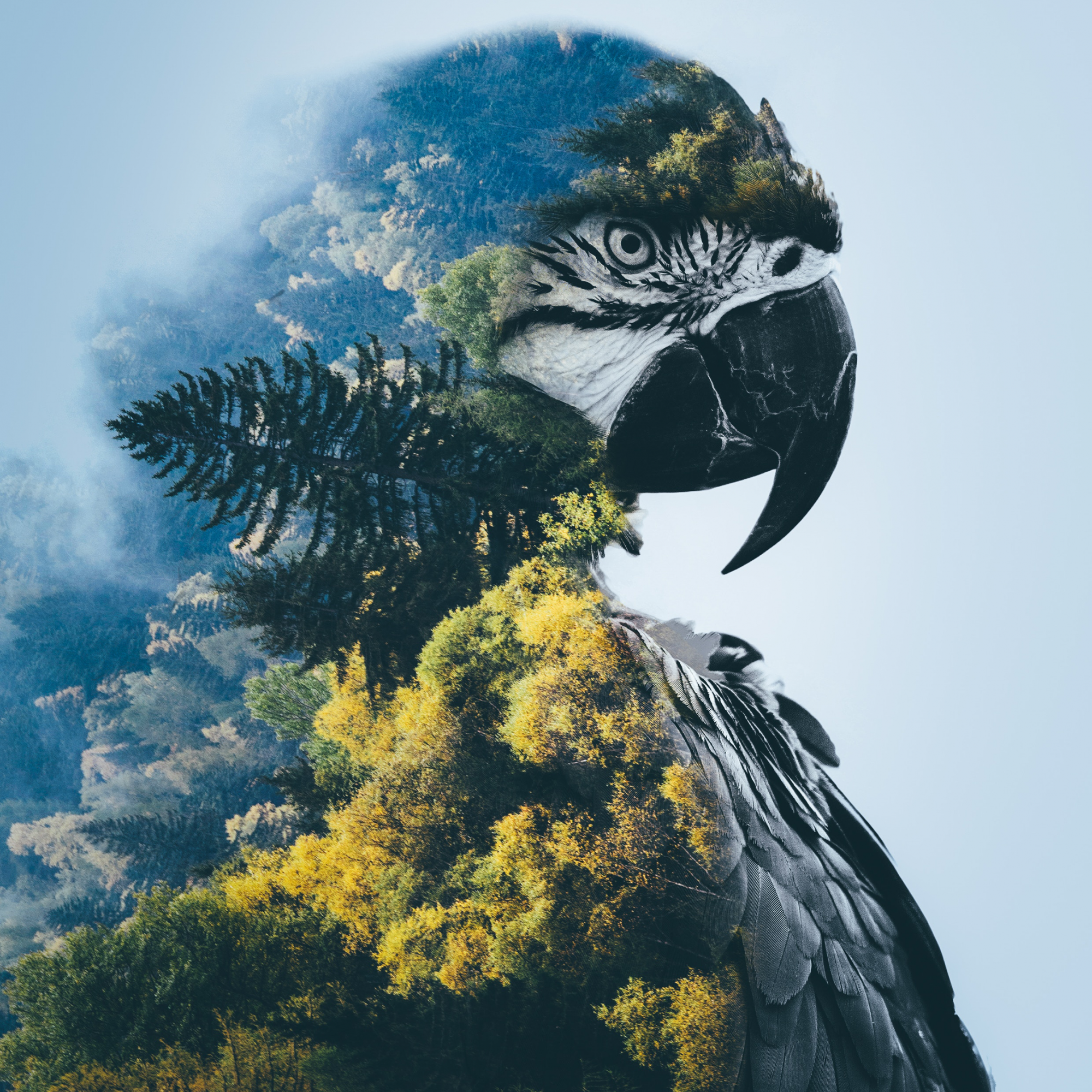 hình nền Samsung Galaxy Z Fold 6