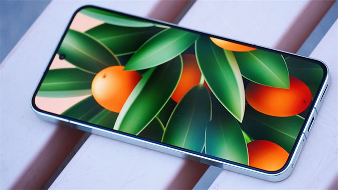 Xiaomi 15 rò rỉ thông số kỹ thuật: Màn hình phẳng 1,5K, chip Snapdragon 8 Gen 4