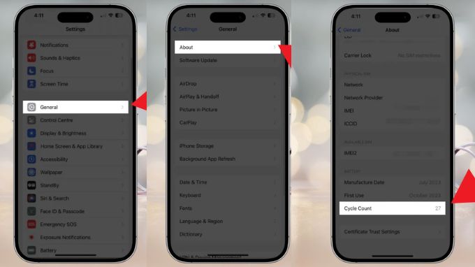 Theo dõi chu kỳ sạc trong phần Giới Thiệu