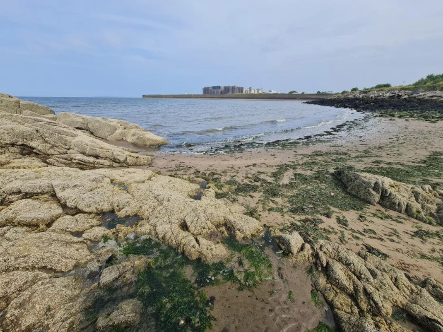 camera-goc-rong-didongmy