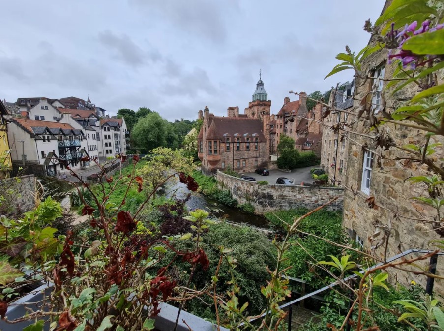 ong-kinh-goc-rong-didongmy