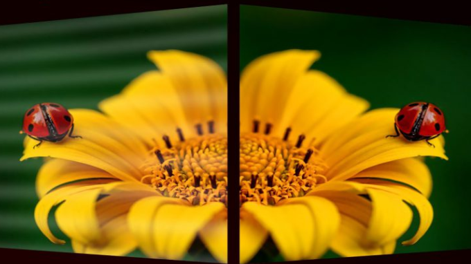 Ưu điểm mang lại hình ảnh sống động của Flicker Free