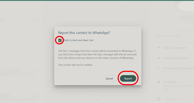 Cách báo cáo và chặn trên WhatsApp cho tài khoản doanh nghiệp trên máy tính chọn báo cáo