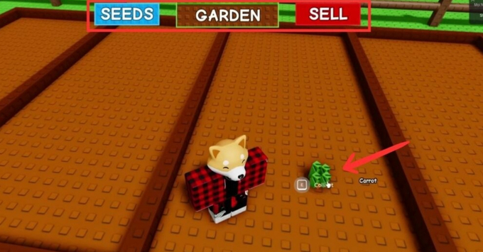 Giao diện Grow a Garden hiển thị đất trồng và chọn hạt giống