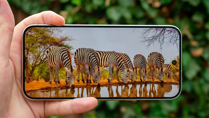 Điện thoại Pixel 11 Pro XL tiếp tục sử dụng tấm nền OLED LTPO 6,8 inch