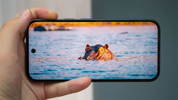 Có nên mua Google Pixel 11?