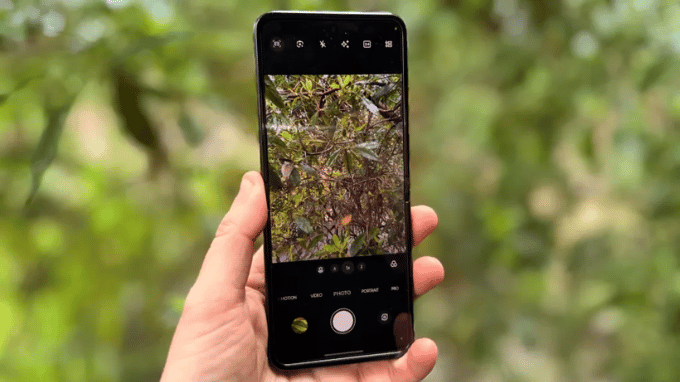 Tele 2x tạo lợi thế khi chụp chân dung và chủ thể gần