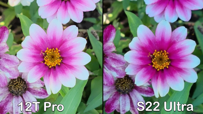 So sánh ảnh chụp giữa Galaxy S22 Ultra và Xiaomi 12T Pro