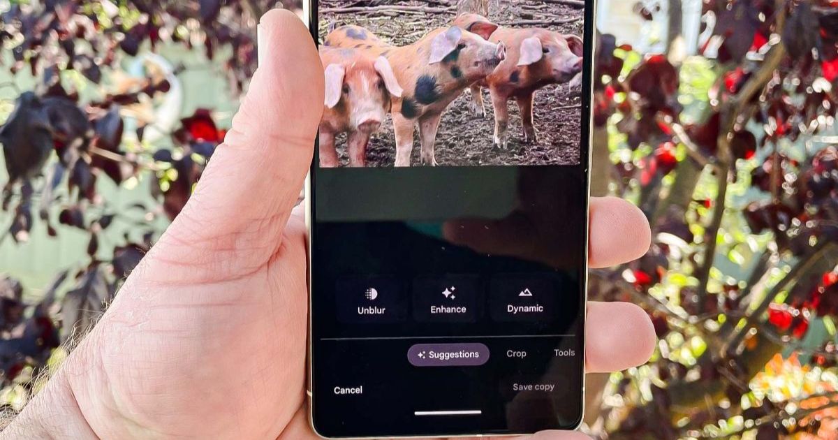 Cách sử dụng Photo Unblur trên điện thoại Google Pixel