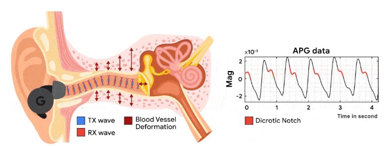 tai-nghe-anc-cua-google-co-the-do-nhip-tim-didongmy
