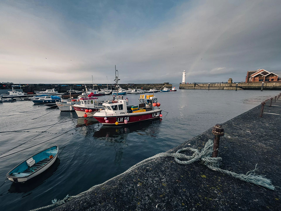 Bố cục hình ảnh trở nên hợp lý hơn khi chuyển sang ống kính siêu rộng