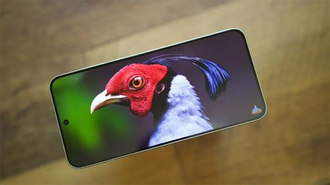 Thiết kế tinh tế, nhưng chơi game tuyệt vời