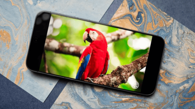 Vivo X300 Pro 6,78 inch với độ phân giải 2800 × 1260